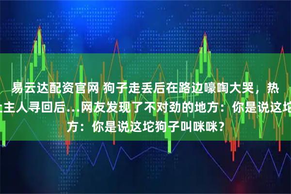 易云达配资官网 狗子走丢后在路边嚎啕大哭，热心网友报警让主人寻回后…网友发现了不对劲的地方：你是说这坨狗子叫咪咪？