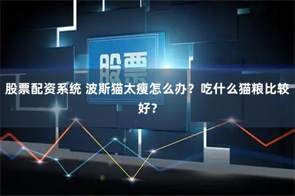 股票配资系统 波斯猫太瘦怎么办？吃什么猫粮比较好？