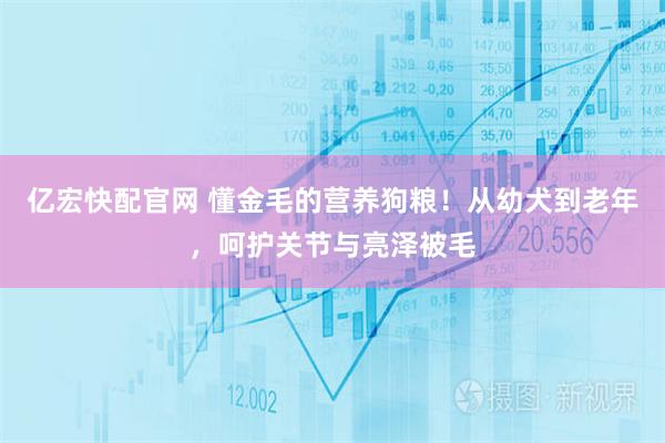 亿宏快配官网 懂金毛的营养狗粮!从幼犬到老年,呵护关节与亮泽被毛