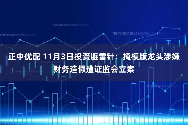 正中优配 11月3日投资避雷针:掩模版龙头涉嫌财务造假遭证监会立案