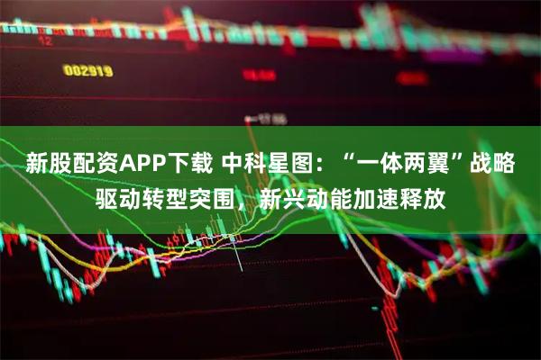 新股配资APP下载 中科星图：“一体两翼”战略驱动转型突围，新兴动能加速释放
