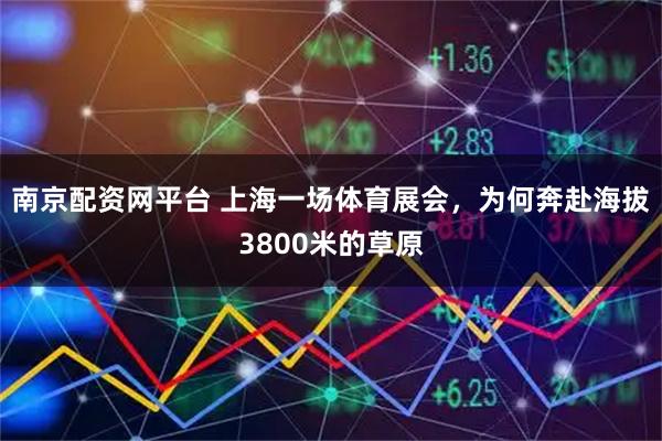 南京配资网平台 上海一场体育展会，为何奔赴海拔3800米的草原